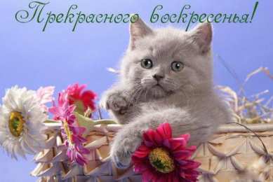 Открытки на воскресенье  Открытки на воскресенье скачать. Открытки на воскресенье бесплатно.