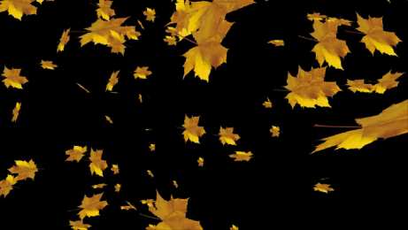 Открытки с листопадом Открытки с листопадом скачать. Открытки с листопадом бесплатно.