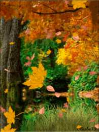 Открытки с листопадом Открытки с листопадом скачать. Открытки с листопадом бесплатно.