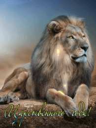 Открытки со львами  Открытки со львами скачать бесплатно. Открытки со львами gif. 