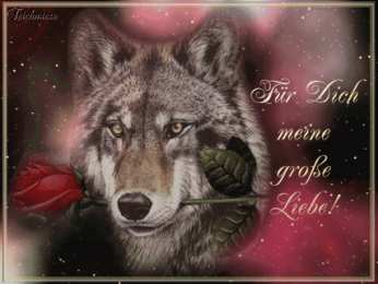 Открытки с волками Анимационные открытки с волками. Скачать открытки с волками gif.