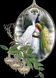 Открытки с павлинами Открытки с павлинами скачать бесплатно. Открытки с павлинами gif.