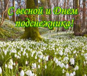 Открытки с днём подснежника Открытки с днём подснежника gif. Открытки с днём подснежника скачать.