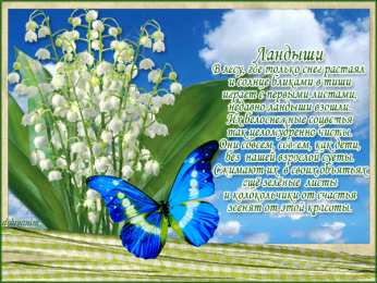 Открытки с ландышами  Открытки с ландышами скачать. Открытки с ландышами онлайн бесплатно.