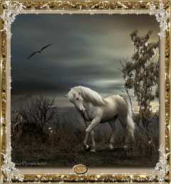 Открытки с лошадьми Открытки с лошадьми gif. Скачать бесплатно открытки с лошадьми.