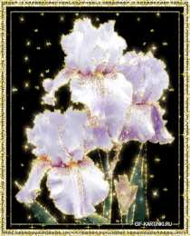 Открытки с ирисами  Открытки с ирисами скачать. Открытки с ирисами бесплатно онлайн.