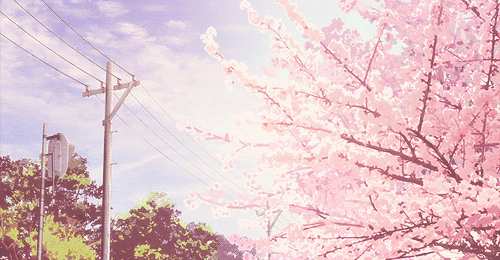 Открытки с сакурой  Открытки с сакурой gif. Дерево сакуры открытки скачать бесплатно.