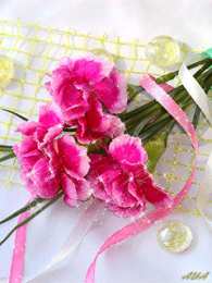 Открытки с гвоздиками  Открытки с гвоздиками скачать. Открытки с гвоздиками онлайн.