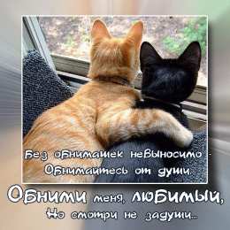 Открытки обнимаю  Анимационные открытки обнимаю тебя. Скачать бесплатно открытки обнимаю.