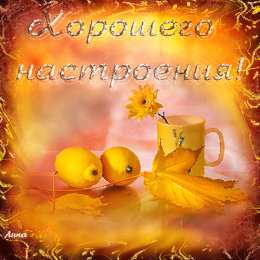 Открытки хорошего настроения Самые лучшие Открытки хорошего настроения скачать бесплатно.