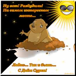 Открытки с днём сурка Скачать бесплатно открытки с днём сурка. Открытки с днём сурка Gif.