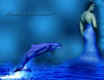 Открытки с дельфинами Открытки с дельфинами с анимациями. Открытки с дельфинами скачать.