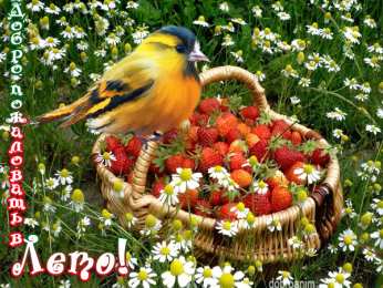 Открытки лето Красивые открытки лето. Скачать бесплатно открытки лето gif.