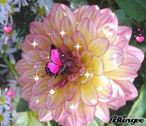 Открытки с георгинами  Открытки с георгинами скачать бесплатно. Открытки с георгинами онлайн.