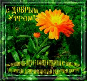 Открытки с календулой  Открытки с календулой скачать бесплатно. Открытки с календулой онлайн.