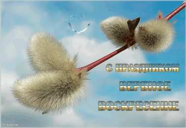 Открытки с Вербным Воскресеньем Скачать бесплатные анимационные открытки с Вербным Воскресеньем.