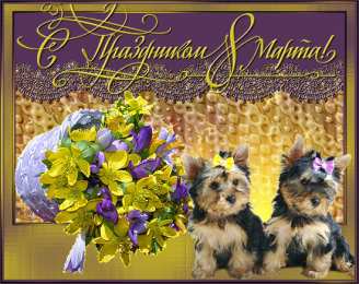 Открытки с собаками Анимационные открытки с собаками. Скачать бесплатно открытки с собаками.