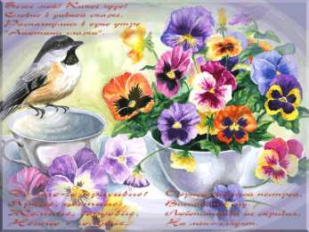 Открытки с разноцветными анютиными глазками  Открытки с разноцветными анютиными глазками скачать бесплатно.