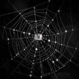 Открытки с паутиной  Открытки с паутиной с анимациями. Открытки с паутиной скачать.