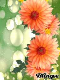 Открытки с георгинами  Открытки с георгинами скачать бесплатно. Открытки с георгинами онлайн.