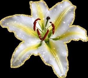 Открытки с лилейниками  Открытки с лилейниками анимационные. Открытки с лилейниками gif.