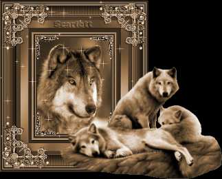 Открытки с волками Анимационные открытки с волками. Скачать открытки с волками gif.