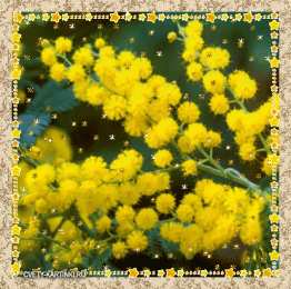 Открытки с мимозой  Открытки с мимозой скачать бесплатно. Открытки с мимозой онлайн.