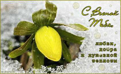 Открытки весна Открытки весна скачать бесплатно. Анимационные открытки весна.