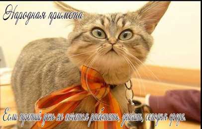 Открытки на среду Открытки на среду скачать. Открытки на среду с пожеланиями бесплатно.