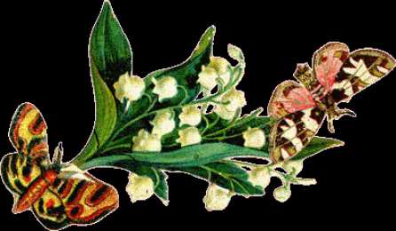 Открытки с ландышами  Открытки с ландышами скачать. Открытки с ландышами онлайн бесплатно.