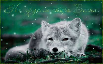 Открытки не грусти Открытки не грусти с пожеланиями скачать. Бесплатные Открытки не грусти.