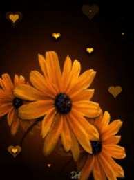 Открытки с календулой  Открытки с календулой скачать бесплатно. Открытки с календулой онлайн.