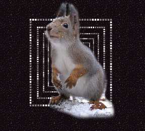 Открытки с белочками  Открытки с белочками gif. Скачать бесплатно открытки с белками.