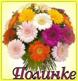 Открытки с именем Полина Открытки с именем Полина скачать бесплатно. Открытки с именем Поля.