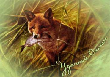Открытки с лисичками Открытки с лисичками скачать бесплатно. Открытки с лисичками gif.
