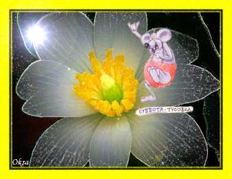 Открытки с субботой Открытки с субботой с пожеланиями. Скачать открытки с субботой.