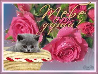 Открытки для тебя Красивые Открытки для тебя скачать  бесплатно. Открытки для тебя gif.