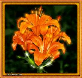 Открытки с лилейниками  Открытки с лилейниками анимационные. Открытки с лилейниками gif.