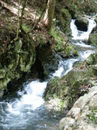 Открытки с ручьями  Открытки с ручьями с анимациями. Красивые открытки с ручьями.