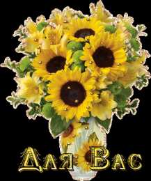 Открытки с подсолнухами Открытки с подсолнухами скачать бесплатно. Открытки с подсолнухами gif.