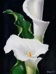 Открытки с каллами Открытки с каллами скачать бесплатно. Открытки с каллами онлайн.