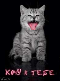 Открытки хочу к тебе Открытки хочу к тебе gif. Анимационные открытки хочу к тебе.