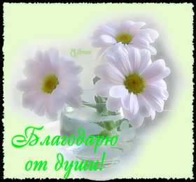 Открытки с благодарностью Красивые открытки с благодарностью. Открытки с надписью спасибо.