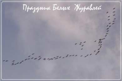 Открытки с праздником белых журавлей Открытки с праздником белых журавлей скачать бесплатно.     