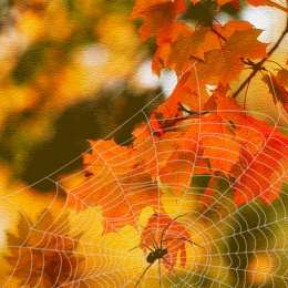 Открытки с паутиной  Открытки с паутиной с анимациями. Открытки с паутиной скачать.