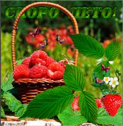 Открытки лето Красивые открытки лето. Скачать бесплатно открытки лето gif.