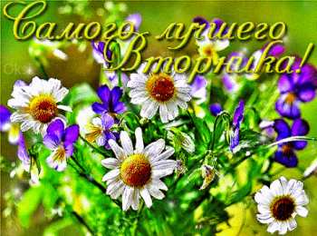 Открытки на вторник Открытки на вторник скачать. Открытки на вторник бесплатно онлайн.