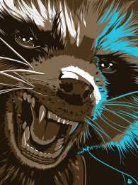 Открытки с Енотом Ракетой Открытки с Енотом Ракетой из Стражей Галактики скачать бесплатно.