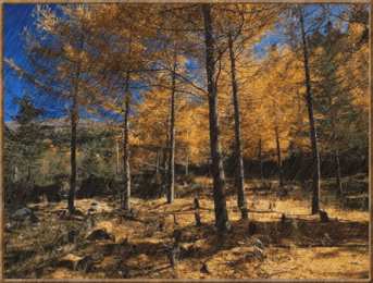 Открытки с осенним лесом Открытки с осенним лесом скачать. Открытки с осенним лесом бесплатно.