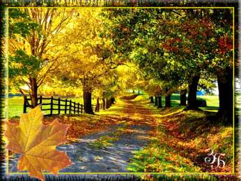 Открытки осень Открытки осень скачать бесплатно. Красивые открытки осень gif.